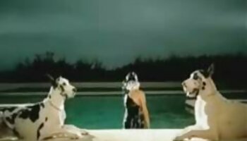ليس سكس تركي مدبلج بالعربية قبل الزفاف!
