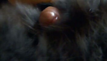 لعب الأبرياء سكس فري مترجم عربي